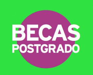 bECAS_postgrado2013